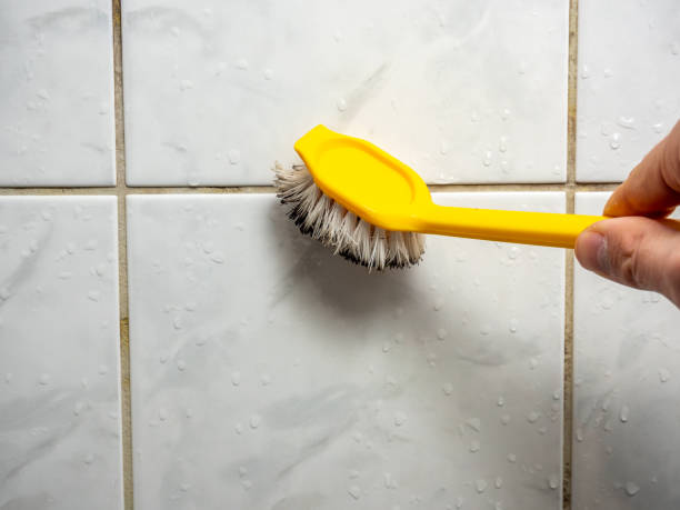 Best Affordable Mold Removal  in Gardena, CA