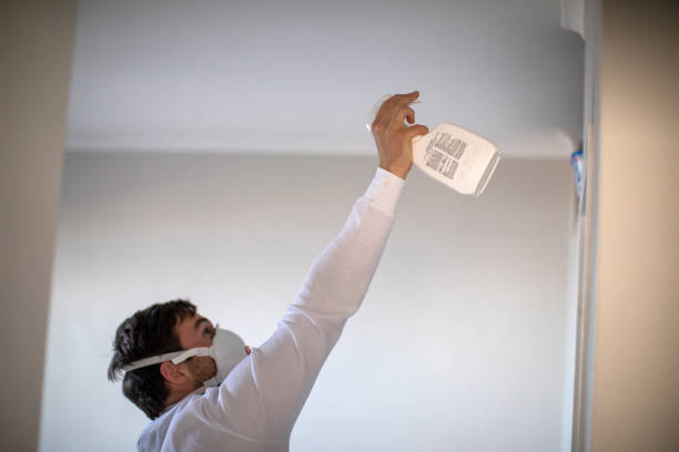 Best Same-Day Mold Removal  in Gardena, CA