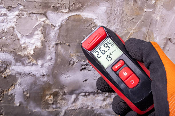 Best Water Damage Restoration  in Gardena, CA