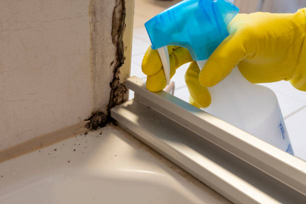 Best Office Mold Removal Services  in Gardena, CA