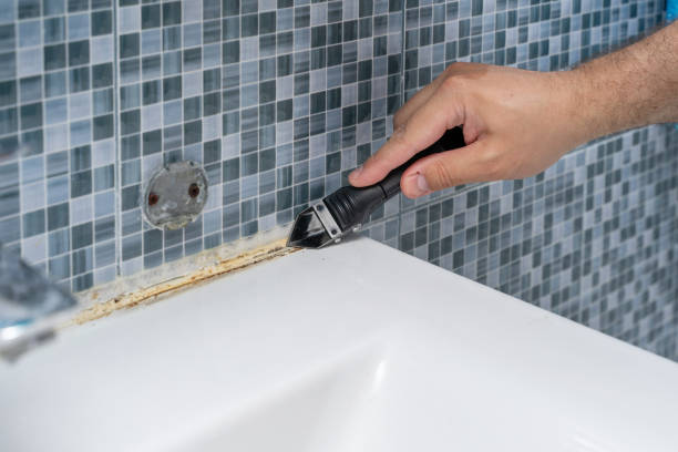 Best Same-Day Mold Removal  in Gardena, CA